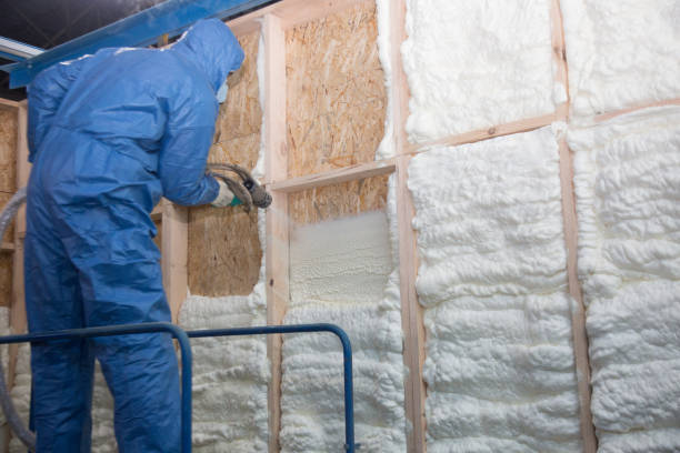 Best Reflective Insulation in Hillsboro Beach, FL